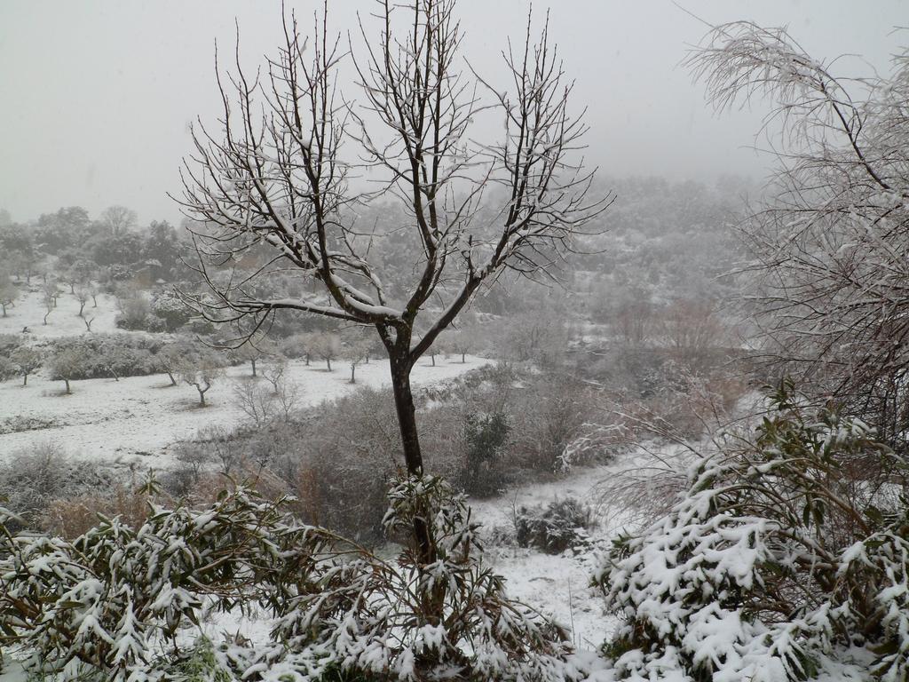 فيلا Casa Felisa Pirineo Aragones Santa Eulalia de Gállego المظهر الخارجي الصورة